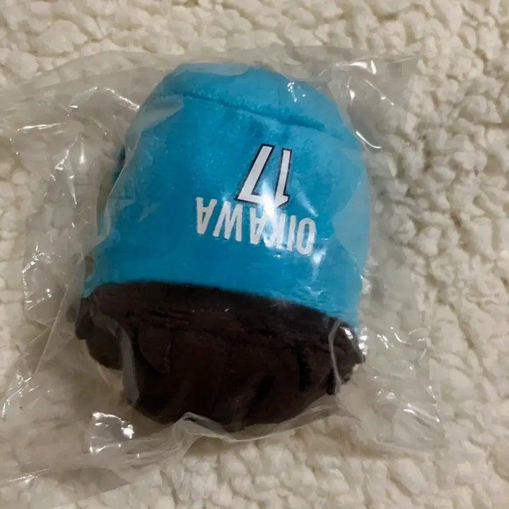 [SOLD OUT] 하이큐 오이카와 쯔무