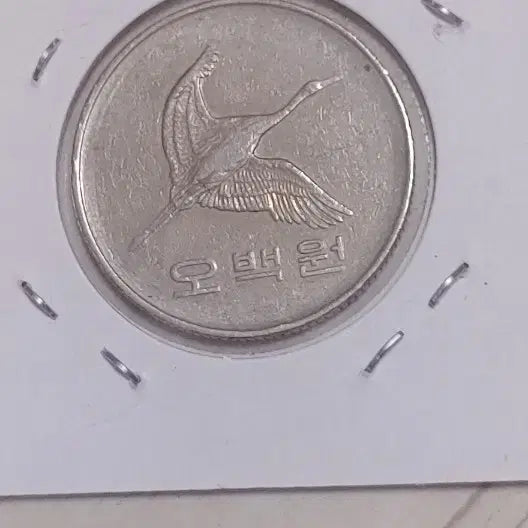 [BUNJANG] 1987 500 Won Coin / 귀한1987년       500원