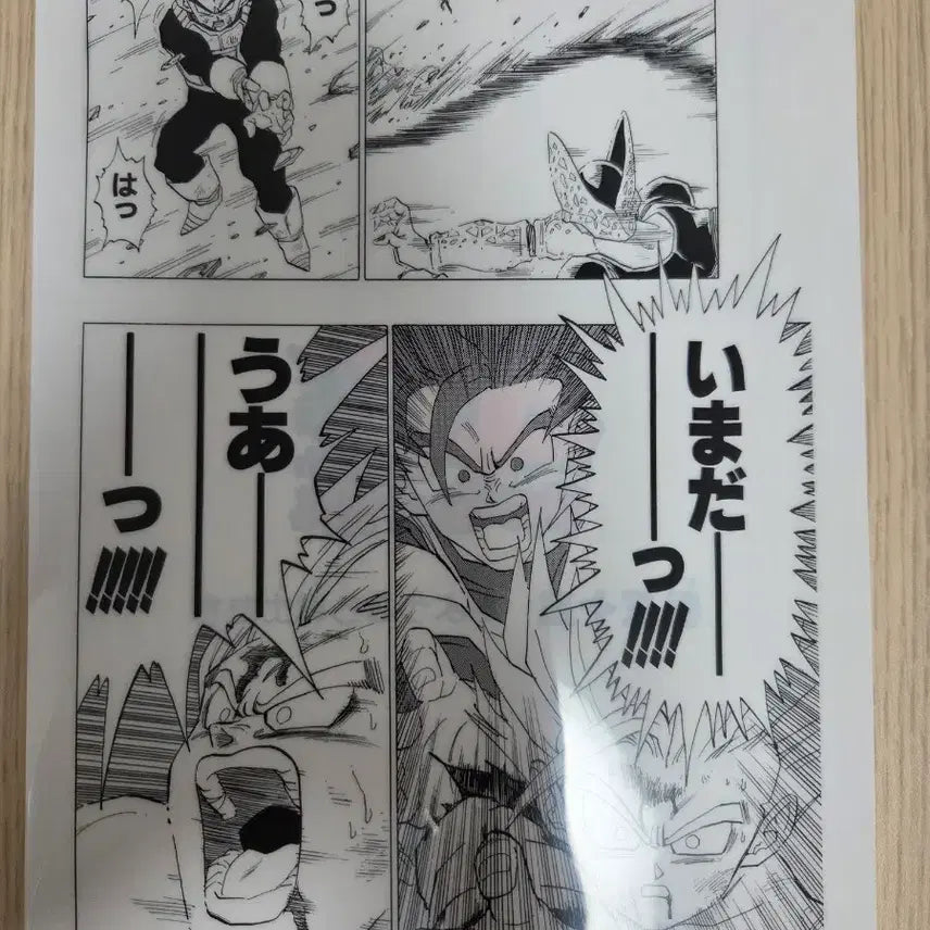 [BUNJANG] Dragon Ball Ichiban Kuji Clear File (G Prize) / 드래곤볼 이치방쿠지 클리어파일(G상)