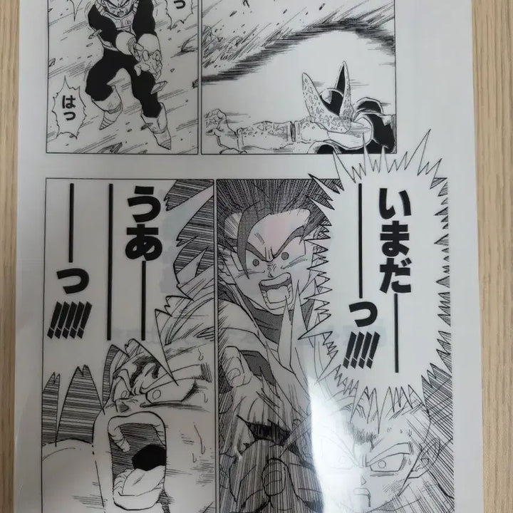 [BUNJANG] Dragon Ball Ichiban Kuji Clear File (G Prize) / 드래곤볼 이치방쿠지 클리어파일(G상)