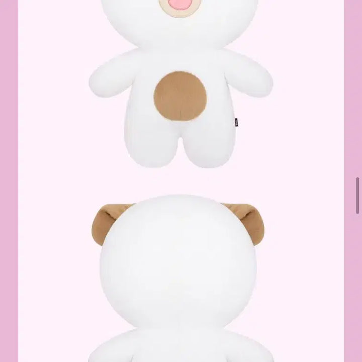 [BUNJANG] Day6 Giant Ppetitmalz Ke Don Bundle Set / 데이식스 자이언트 쁘띠멀즈 케 돈 (폴라로이드 포함)