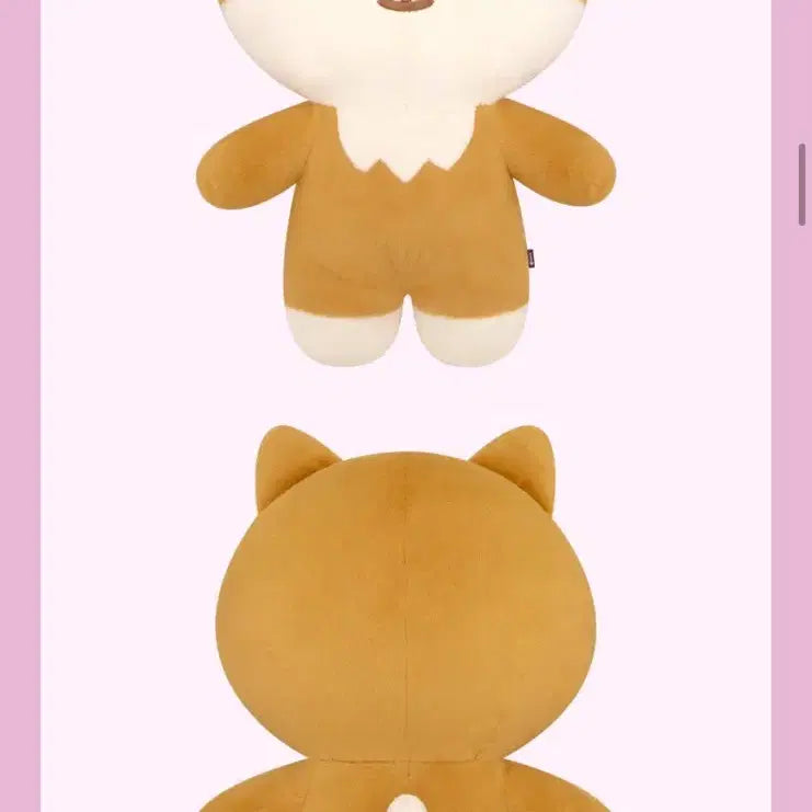 [BUNJANG] Day6 Giant Ppetitmalz Ke Don Bundle Set / 데이식스 자이언트 쁘띠멀즈 케 돈 (폴라로이드 포함)