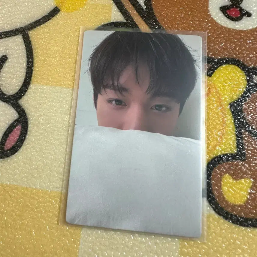 [BUNJANG] Park Jihoon Sitter Magazine Photocard / 박지훈 시터 잡지 포카