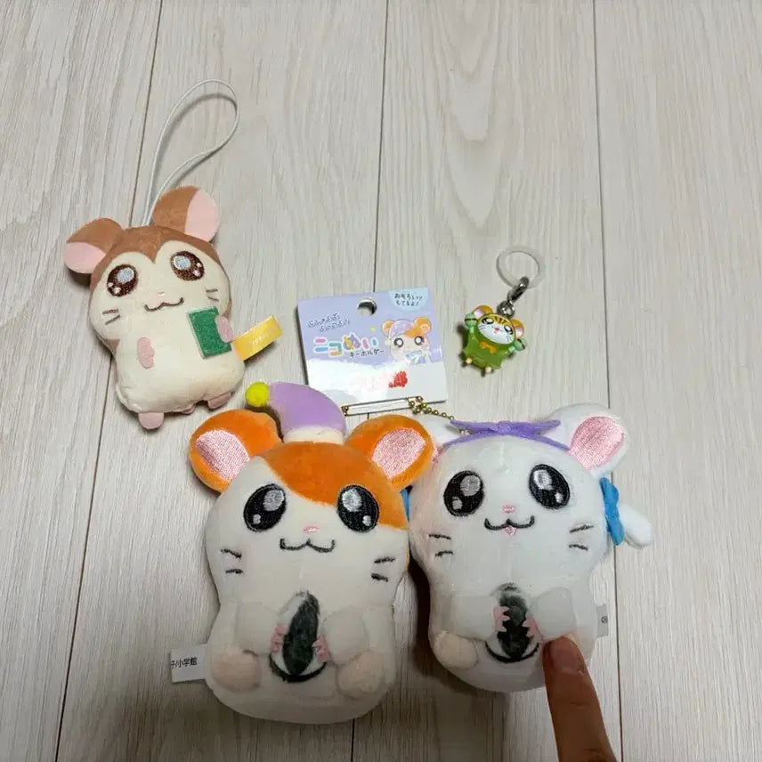 [SOLD OUT] 방가방가 햄토리 햄토리&amp;리본 자석 마스코티 인형키링, 메지루시