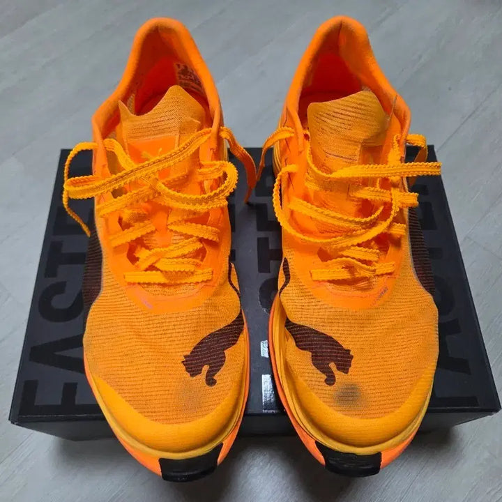 [BUNJANG] Puma Fast-R Nitro Elite 3 Running Shoes / 푸마 패스트알3  250mm
