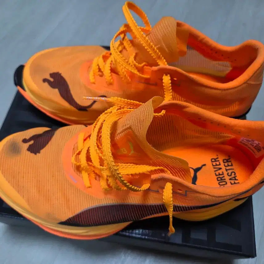 [BUNJANG] Puma Fast-R Nitro Elite 3 Running Shoes / 푸마 패스트알3  250mm