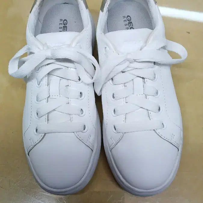 [BUNJANG] Geox Recipe La Casual Sneakers Unisex / 여성신발 제옥스 레시피라 캐주얼 운동화 남녀공용
