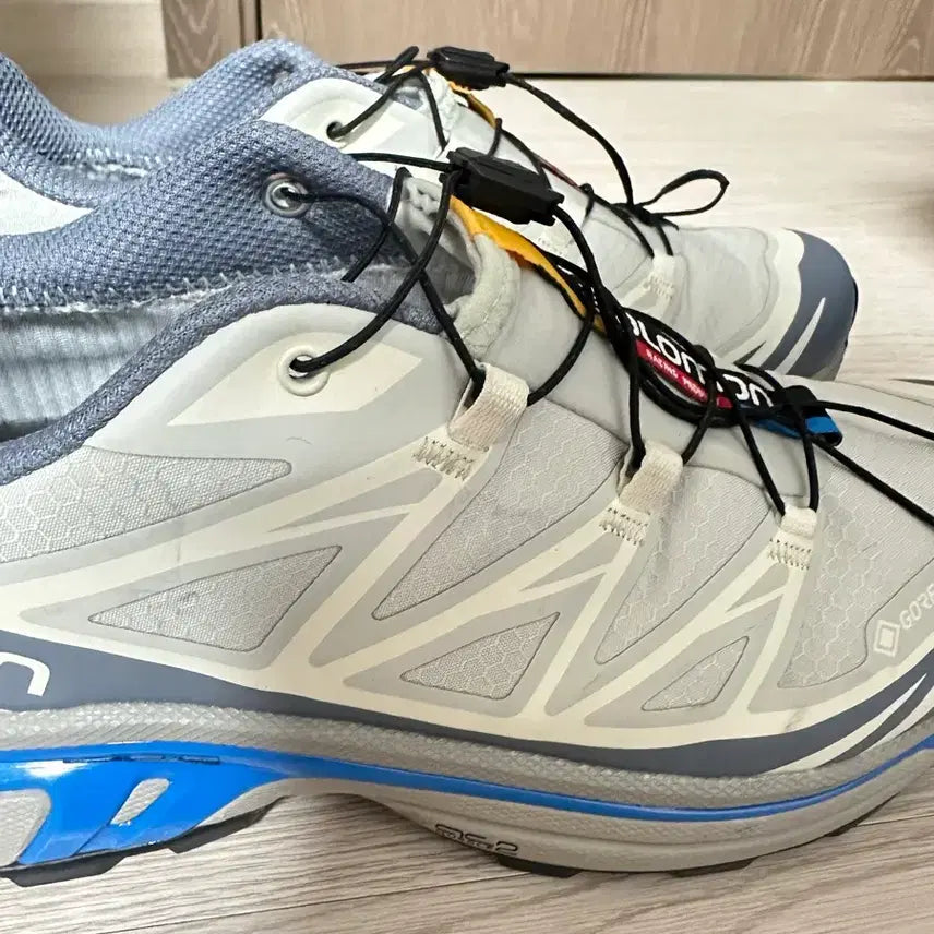 [BUNJANG] Salomon XT-6 Gore-Tex Metal Print Stone Sneakers / 살로몬 xt-6 고어텍스 메탈프린트 스톤 250
