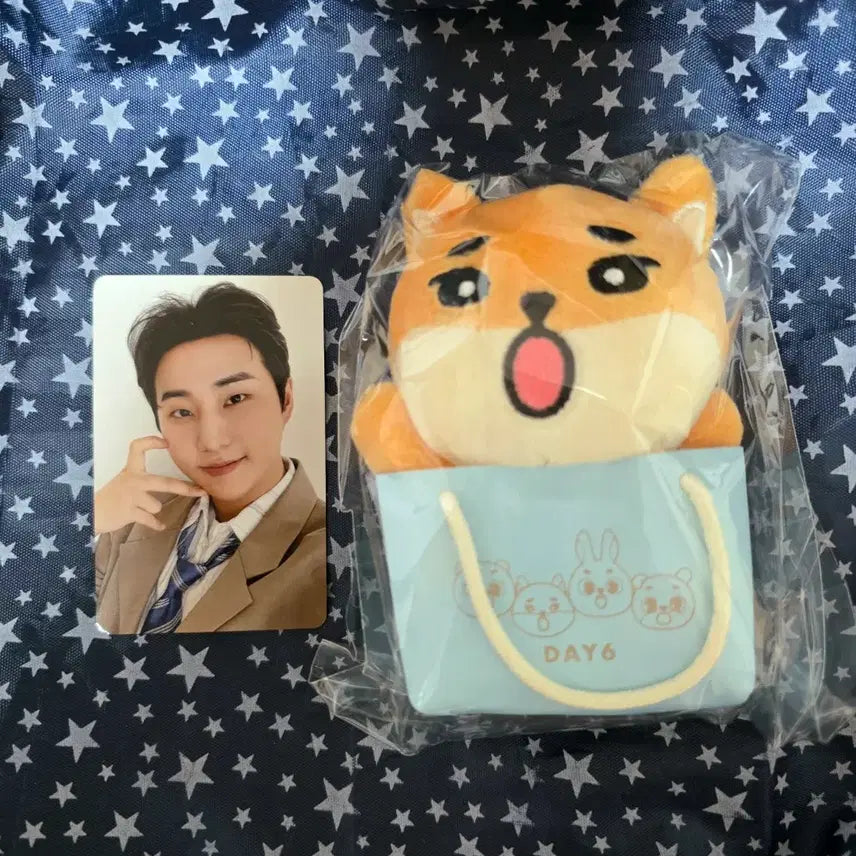 [SOLD OUT] 데이식스 일본 케 백참 영케이 포카 일괄