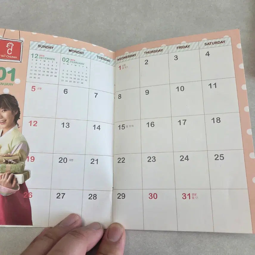 [BUNJANG] IU Mexicana 2012 Pocket Planner / 아이유 맥시카나 2012 포켓 플래너 미사용