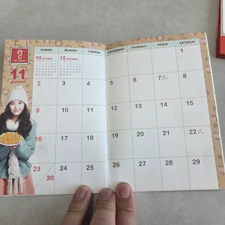 [BUNJANG] IU Mexicana 2012 Pocket Planner / 아이유 맥시카나 2012 포켓 플래너 미사용