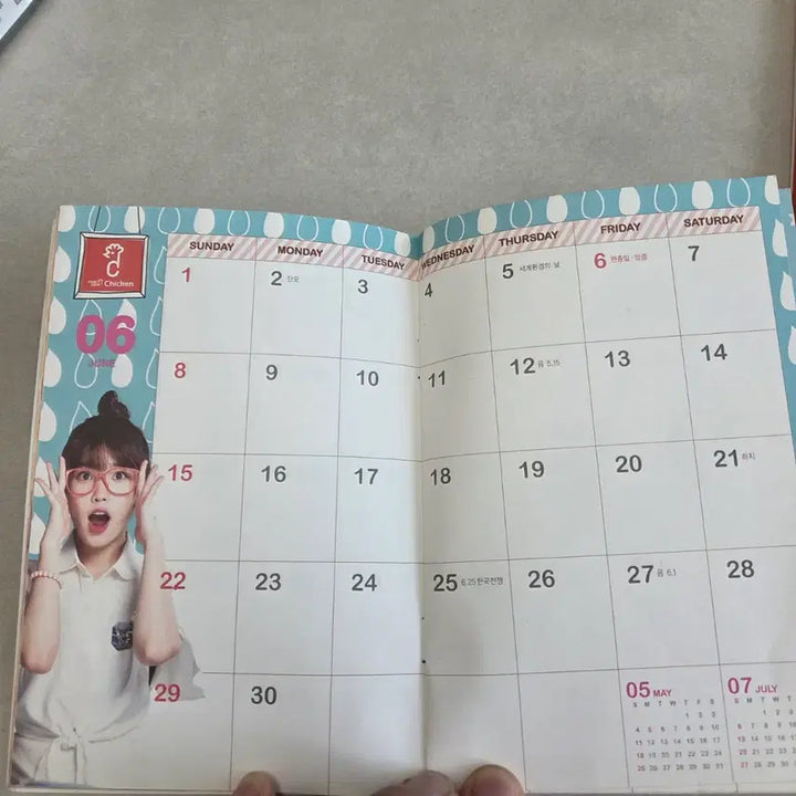 [BUNJANG] IU Mexicana 2012 Pocket Planner / 아이유 맥시카나 2012 포켓 플래너 미사용