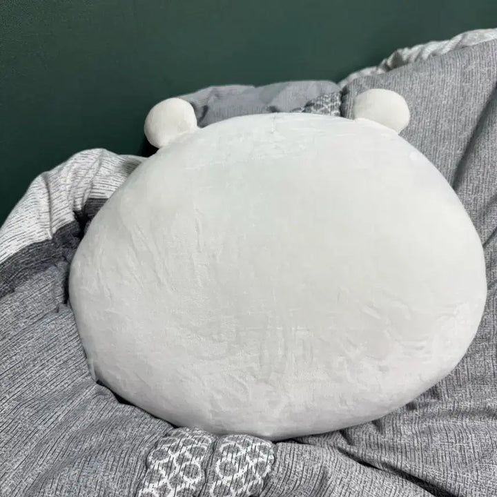 [BUNJANG] Nongdamgom Face Cushion / 농담곰 얼굴 쿠션