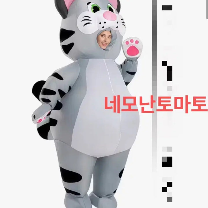 [BUNJANG] Cat Airsuit Rental for Graduation Photoshoot / 고양이 에어슈트 대여 졸업사진 (리뷰 = 할인) 유일무이, 독점판매