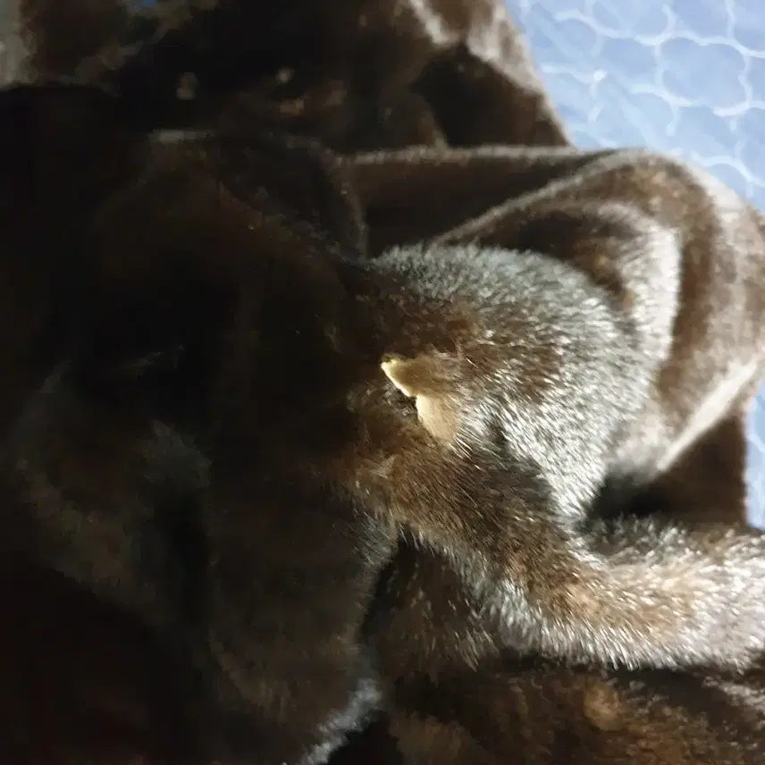 [BUNJANG] Jindo Blackgama Mink Fur Coat Dark Brown / 진도 블랙그라마 밍크모피 코트 다크브라운 (94-106-165)