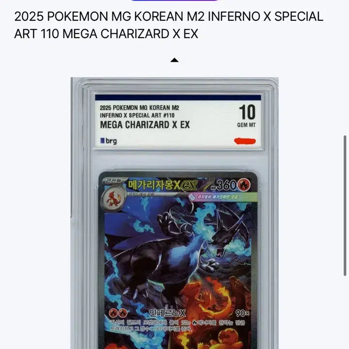 [SOLD OUT] 메가리자몽 X EX SAR / BRG 10