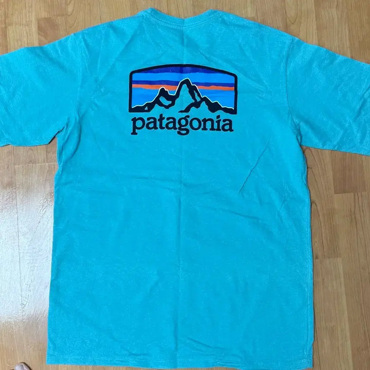 [BUNJANG] Patagonia Responsibili Tee T-Shirt / 파타고니아 responsibili tee 티셔츠 판매
