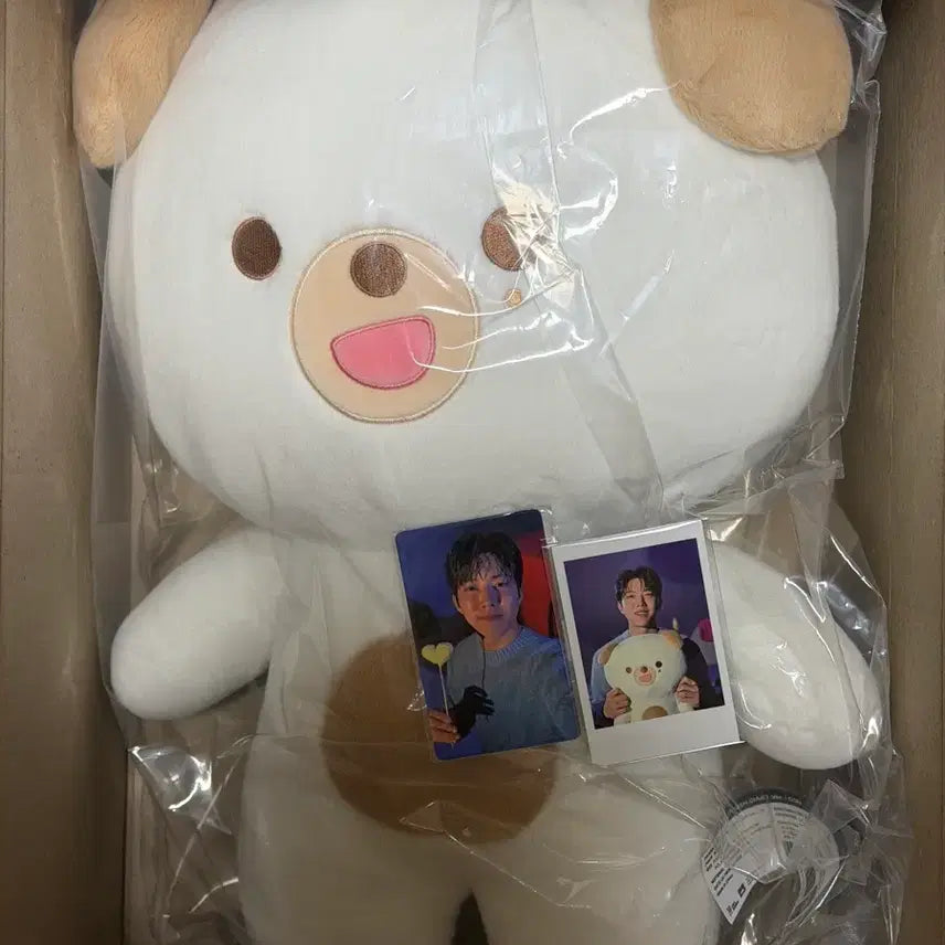 [SOLD OUT] [포카포함] 데이식스 자쁘멀 돈 양도