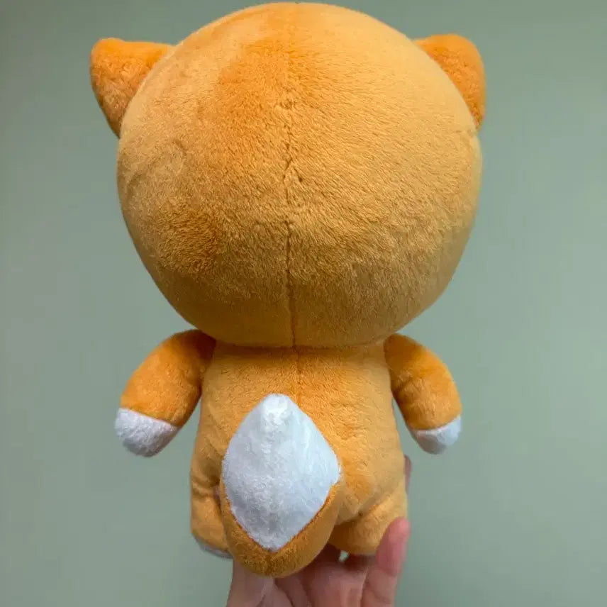 [BUNJANG] BTOB Yook Sungjae Desert Sungjae Doll / 비투비 육성재 인형 사막성재 양도