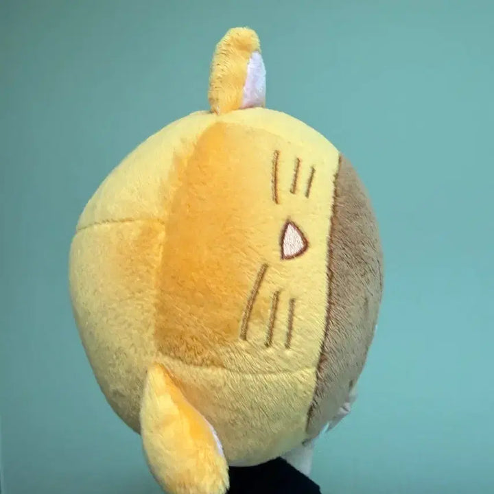 [BUNJANG] BTOB Yook Sungjae Desert Sungjae Doll / 비투비 육성재 인형 사막성재 양도