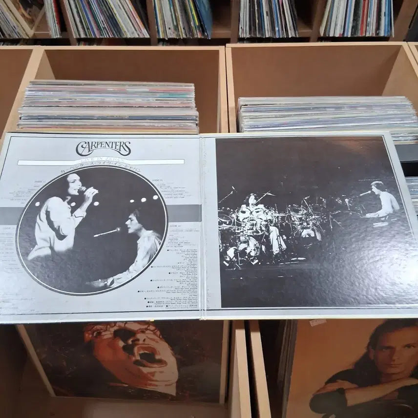 [SOLD OUT] 소장가치 카펜터즈 Live In Japan 더블 LP