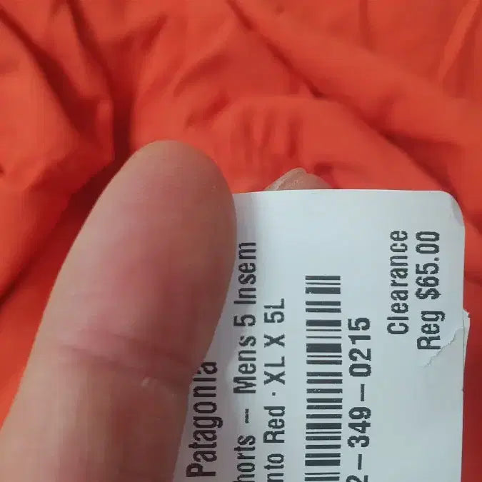 [BUNJANG] Patagonia Baggies 5-Inch Shorts XL / 파타고니아 배기스 5인치 반바지 xl 새거