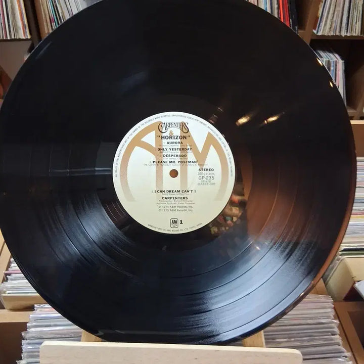 [SOLD OUT] 민트급 소장가치 The Carpernters 카펜터스 LP