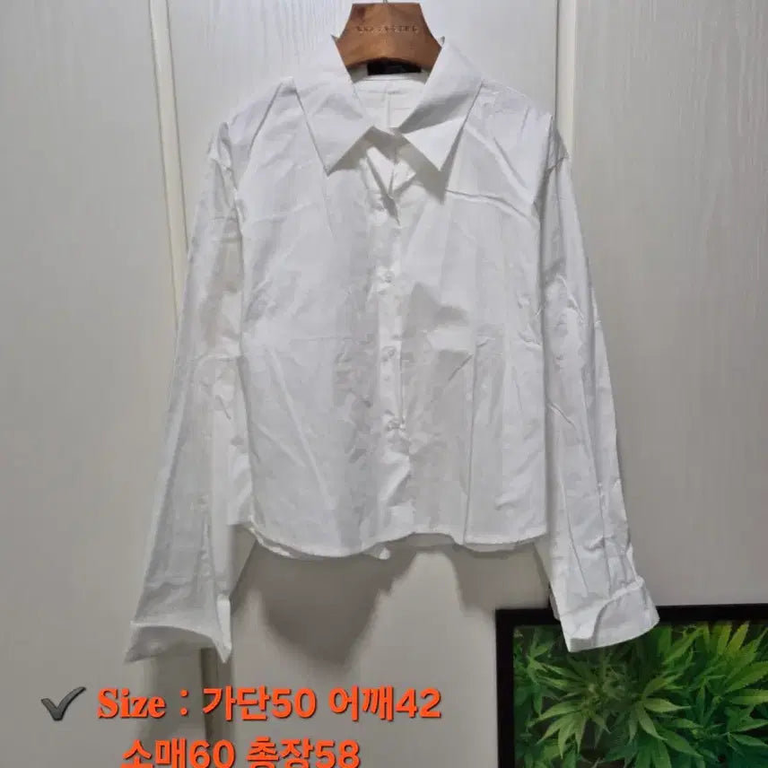 [BUNJANG] Basic Shirts and Blouses Bundle Set / (묶음세일)(새상품)기본셔츠, 블라우스 6개