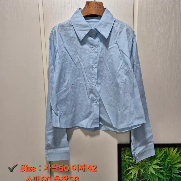 [BUNJANG] Basic Shirts and Blouses Bundle Set / (묶음세일)(새상품)기본셔츠, 블라우스 6개