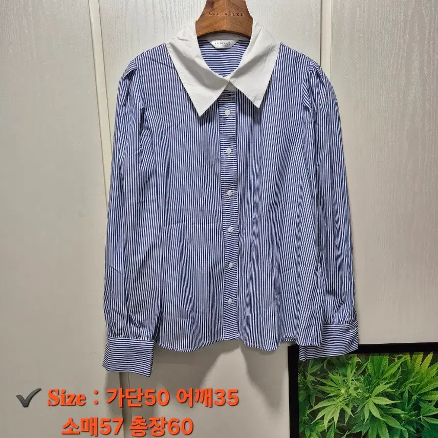 [BUNJANG] Basic Shirts and Blouses Bundle Set / (묶음세일)(새상품)기본셔츠, 블라우스 6개