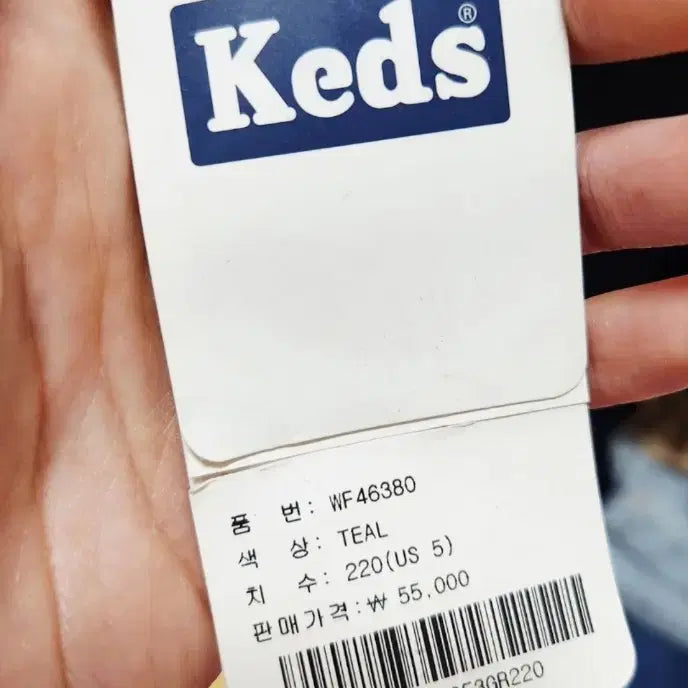 [BUNJANG] Keds Champion Mint Sneakers / 케즈 챔피온 민트 스니커즈 새상품220