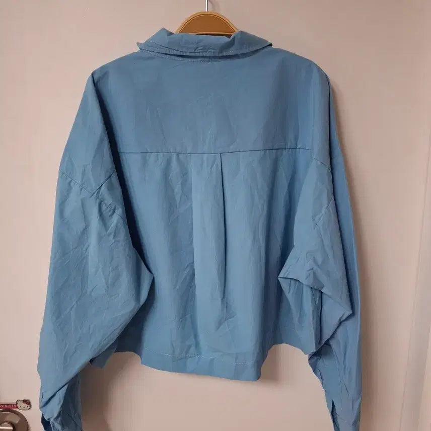 [BUNJANG] Sky Blue Cropped Shirt Blouse / 스카이 블루 크롭 셔츠 블라우스55~77