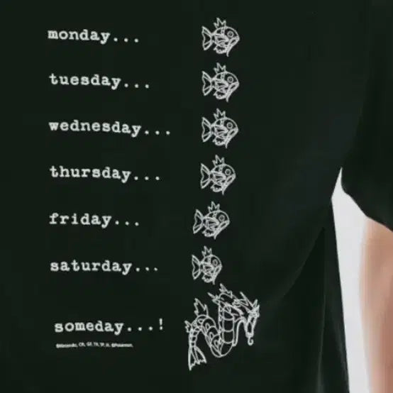 [BUNJANG] Spao Gyarados Evolution T-shirt / L 미사용 잉어킹 갸라도스 티셔츠 spao 한국 포켓몬 포코피아