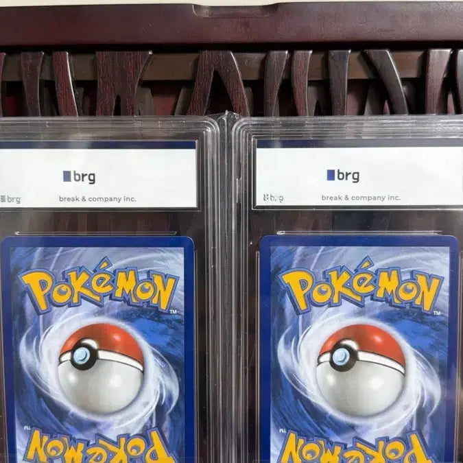 [SOLD OUT] 북미 25주년 이상해꽃 brg 10