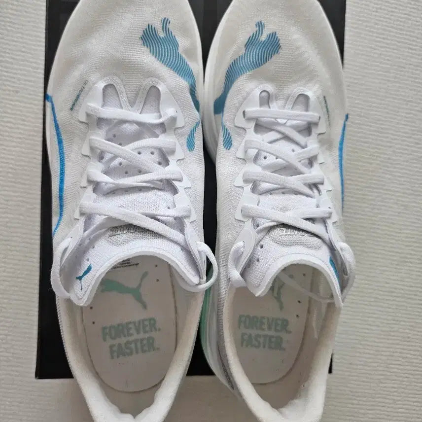 [BUNJANG] Puma Dinael 3 Running Shoes / 푸마 디나엘3(275사이즈) 런닝화