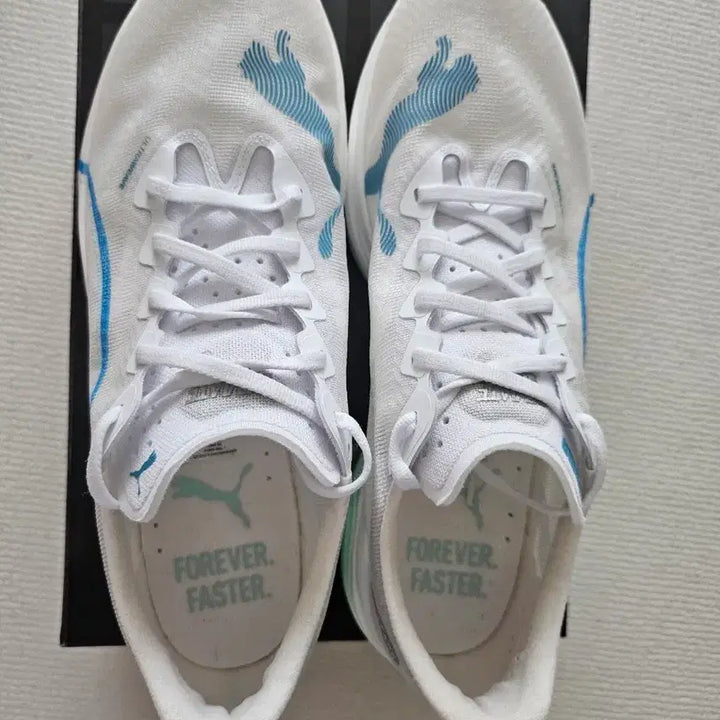[BUNJANG] Puma Dinael 3 Running Shoes / 푸마 디나엘3(275사이즈) 런닝화