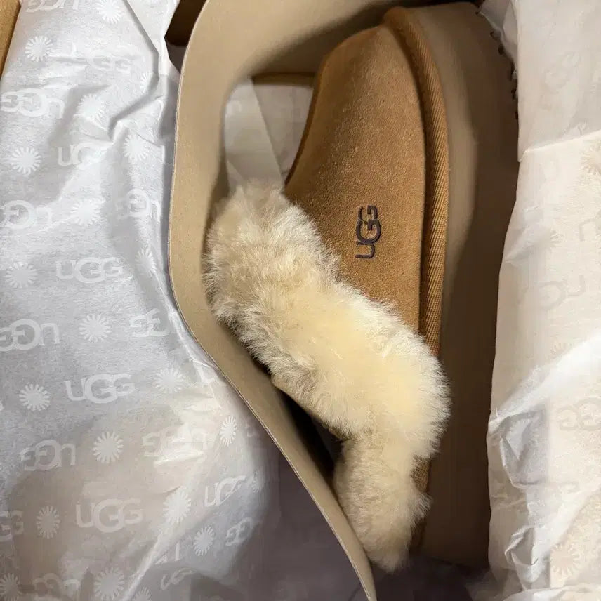 [BUNJANG] UGG Disquette Slippers / 어그 디스케트 슬리퍼