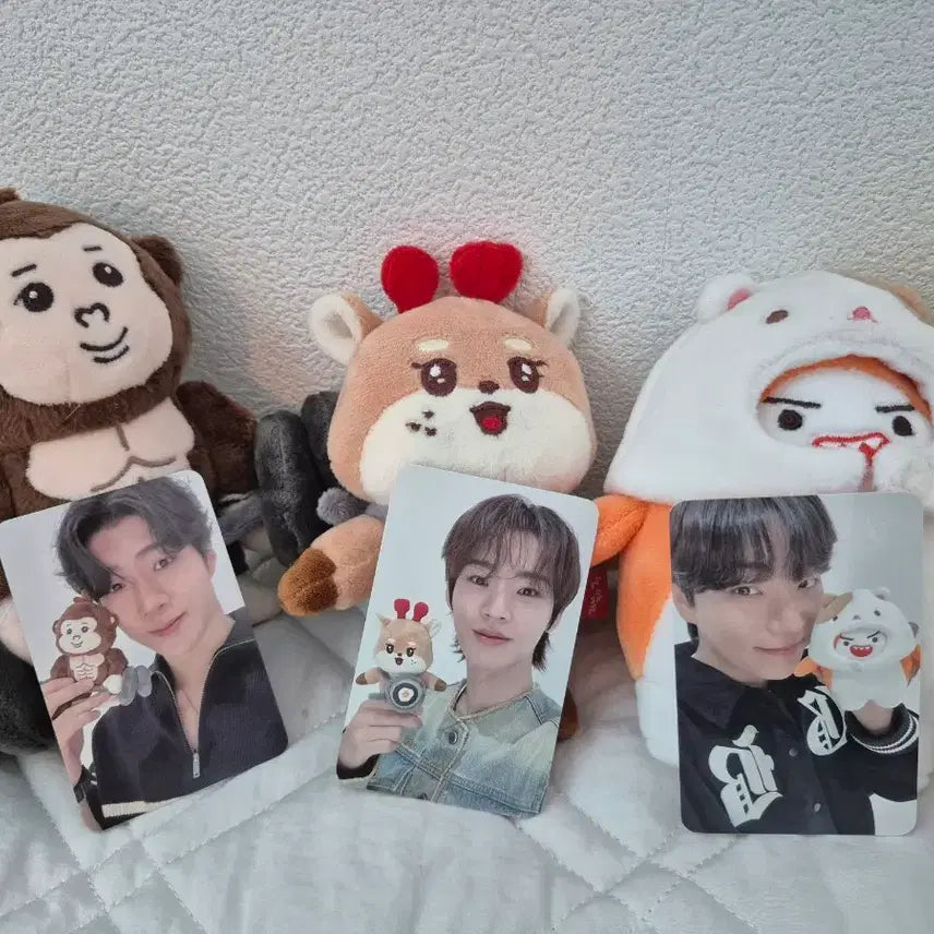 [SOLD OUT] 온앤오프 온꼬미즈 전원 일괄 판매