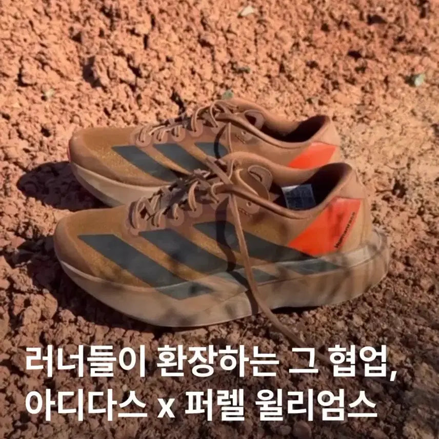 [SOLD OUT] 아디다스 퍼렐 윌리엄스 아디제로 EVO SL 260