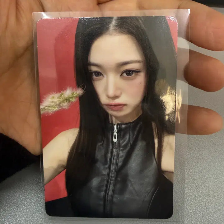 [BUNJANG] 나밀뮤직 남일뮤직 장원영 장원영뱅뱅 아이브장원영 포카 희귀 나밀장원영포카 / 나밀뮤직 남일뮤직 장원영 장원영뱅뱅 아이브장원영 포카 희귀 나밀장원영포카