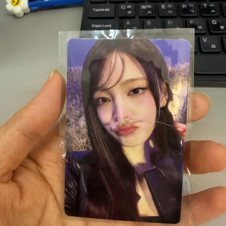 [BUNJANG] 나밀뮤직 남일뮤직 리즈포카 아이브리즈 리즈뱅뱅포카 희귀나밀포카아이브리즈 / 나밀뮤직 남일뮤직 리즈포카 아이브리즈 리즈뱅뱅포카 희귀나밀포카아이브리즈
