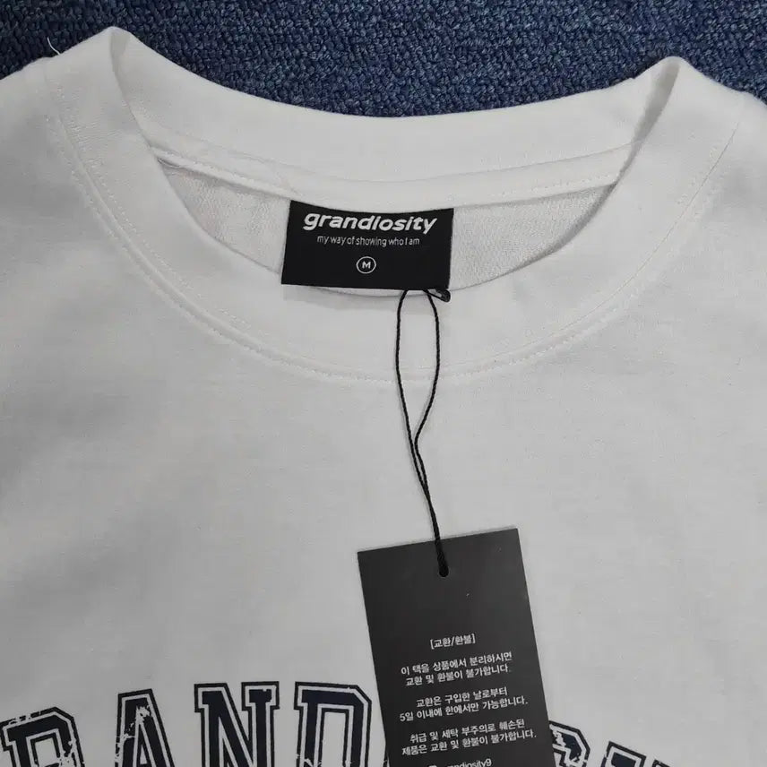[BUNJANG] Grandiocity Logo T-shirt / (새상품)그랜디오시티 티셔츠 [정가38,900원]