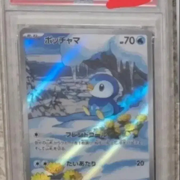 [SOLD OUT] 포켓몬 카드 팽도리 PSA10
