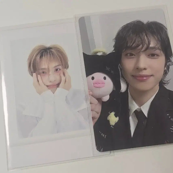 [BUNJANG] Xdinary Heroes Gaon Bundle Set POB Polaroid Photocard / 엑디즈 가온 포카 일괄 양도 엑스디너리 히어로즈 폴라 폴라로이드 특전