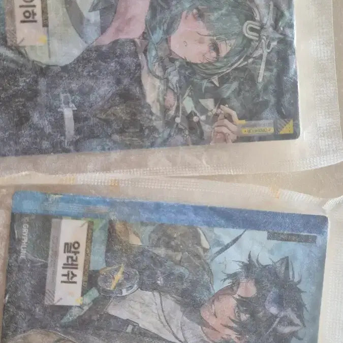 [SOLD OUT] 엔드필드 자이히 알레쉬 포토카드 일괄