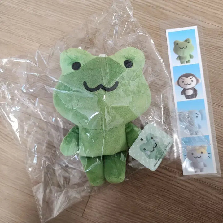 [BUNJANG] Decovoco Frog Mascot Plush / 데코보코 개구리 마스코트 인형