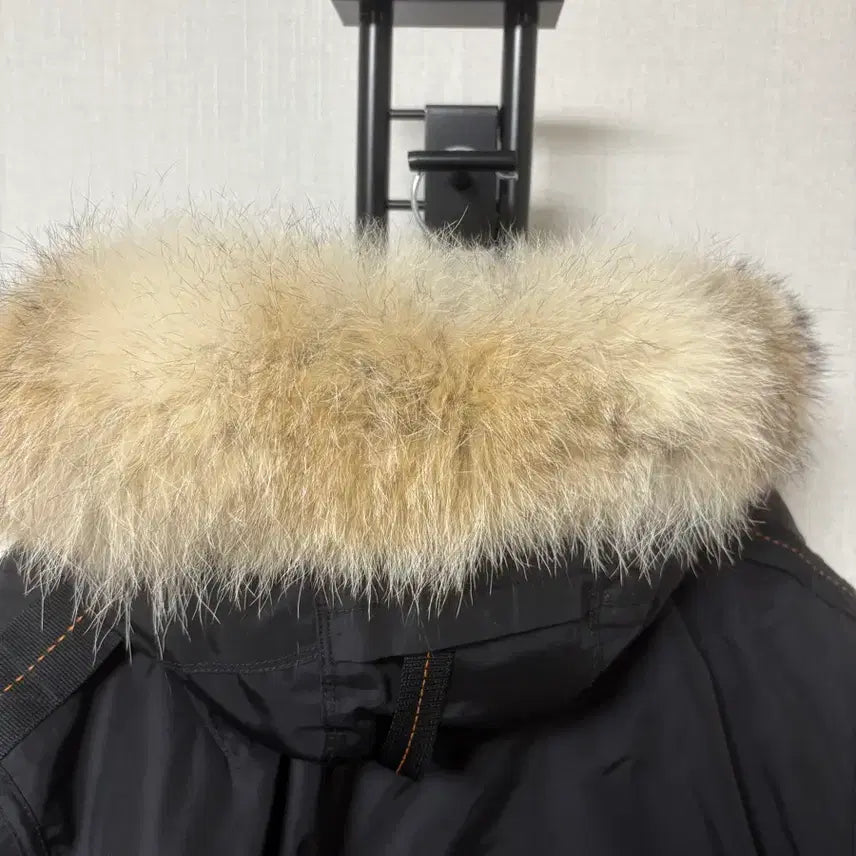 [BUNJANG] Parajumpers Masterpiece Gobi Padded Jacket Black / [S] 파라점퍼스 마스터피스 고비 패딩 블랙