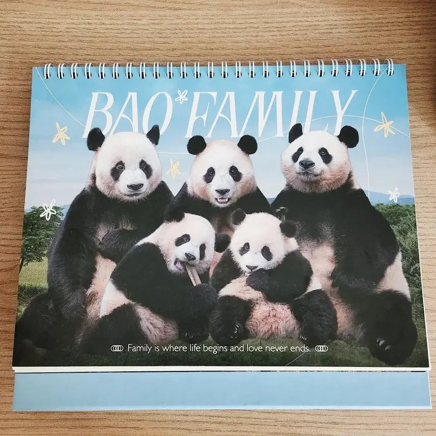 [BUNJANG] Bao Family 2025 Calendar / 바오패밀리 2025 달력