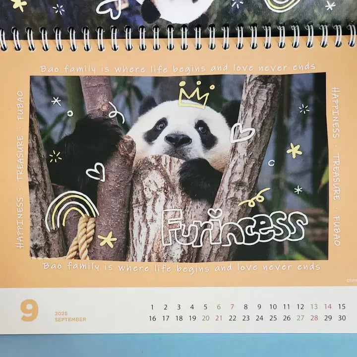 [BUNJANG] Bao Family 2025 Calendar / 바오패밀리 2025 달력