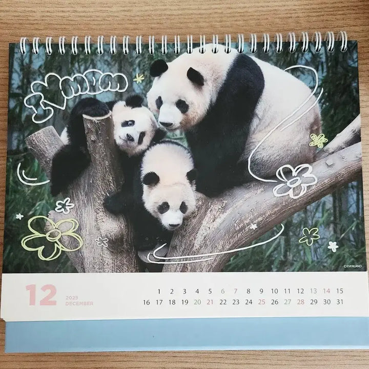 [BUNJANG] Bao Family 2025 Calendar / 바오패밀리 2025 달력
